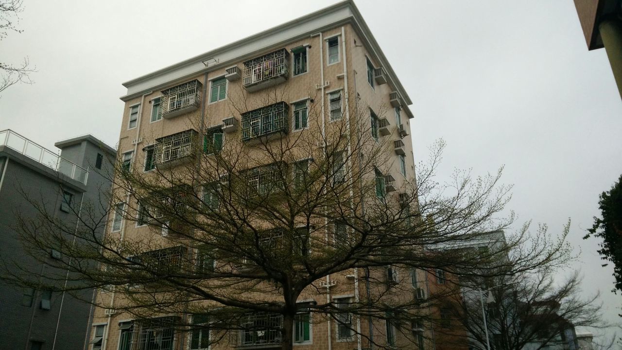 architecture, building exterior, built structure, low angle view, window, residential building, building, clear sky, tree, residential structure, bare tree, city, house, sky, day, branch, outdoors, no people, apartment, facade