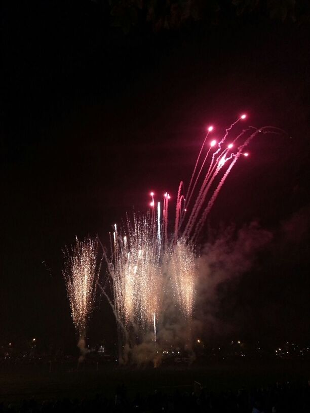 FIREWORKS DISPLAY AT NIGHT