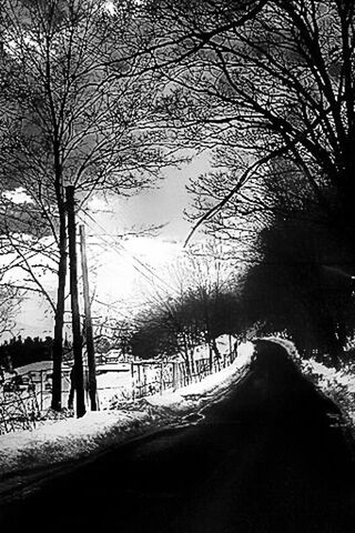 bare tree, tree, the way forward, winter, snow, branch, cold temperature, weather, road, tranquility, nature, tranquil scene, sky, season, diminishing perspective, transportation, street, scenics, silhouette, vanishing point