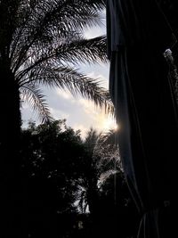 Low angle view of silhouette palm trees against sky