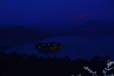 Close-up of silhouette illuminated against blue sky at night