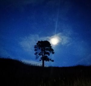 Silhouette trees on field against sky at night