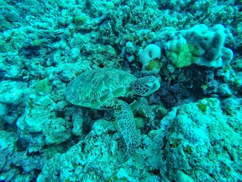 Full frame shot of water surface