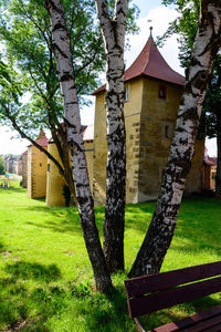 Trees and lawn outside building