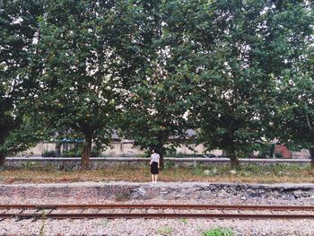 Rear view of woman walking on footpath in park