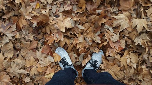 Low section of person standing on autumn leaves