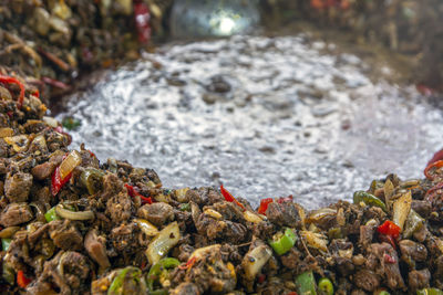 Close-up of rocks on shore