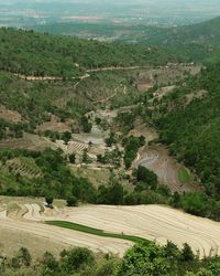 High angle view of rice field against sky