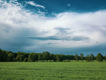 Scenic view of field against sky