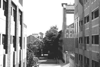 Buildings in city