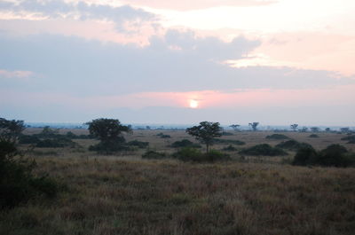 Scenic view of landscape against sky during sunset