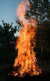View of fire in forest