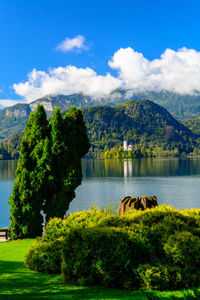 Scenic view of lake and mountains against sky