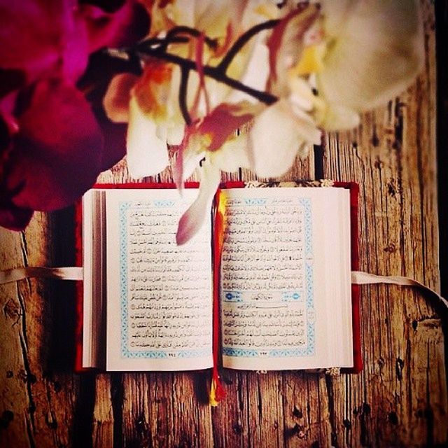 indoors, table, text, close-up, communication, wood - material, animal themes, no people, focus on foreground, western script, animal representation, still life, food and drink, food, bird, day, paper, wooden, book, one animal