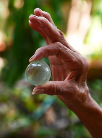 Close-up of hand holding leaf