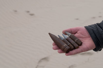 Cropped hand holding rusty bullets at beach