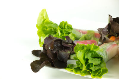 Close-up of food against white background