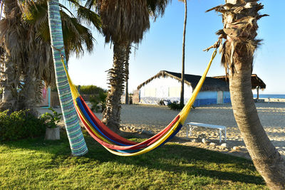 Hammock in tropical coastal beach scene in baja, mexico