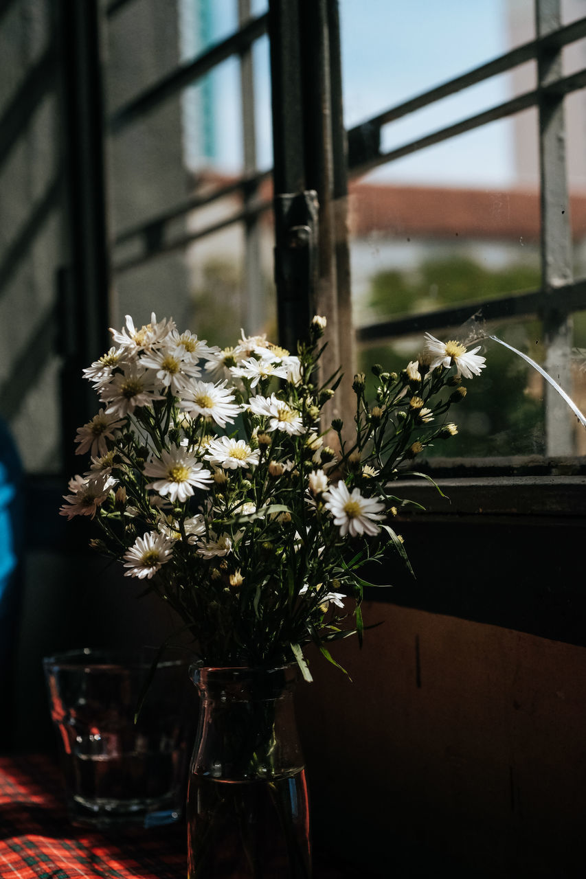 CLOSE-UP OF FLOWERS IN VASE