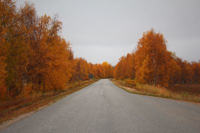 Road amidst autumn trees against sky