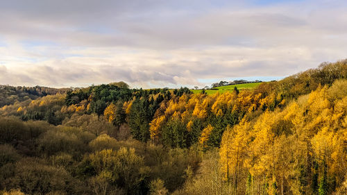 Scenic view of trees against sky during autumn