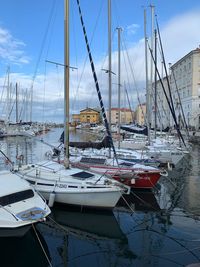 Sailboats moored in harbor