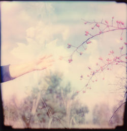 Close-up of hand against plants