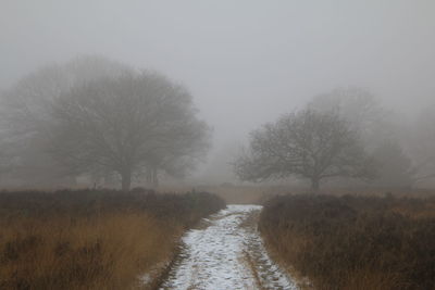 Dirt road along bare trees on field during winter