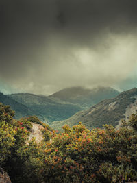 Mount papandayan, indonesia