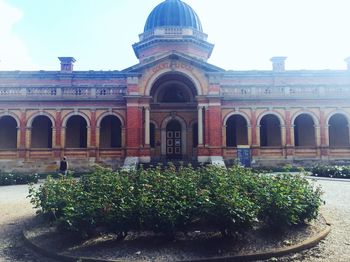 View of plants in front of building