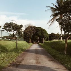 Empty footpath amidst trees