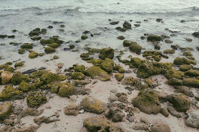 Scenic view of sea shore