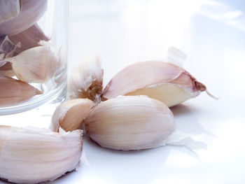 Close-up of garlic on table