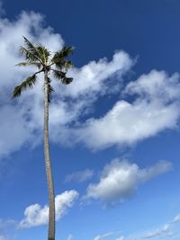 Low angle view of palm tree against sky