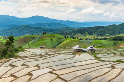 Scenic view of agricultural field against sky
