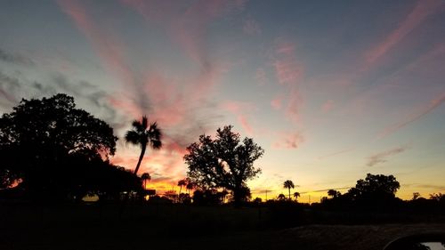 Silhouette trees on field against sky at sunset