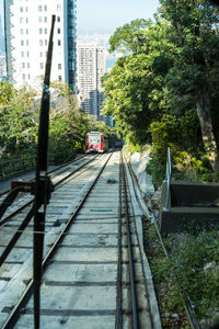 Railroad tracks amidst trees and buildings in city