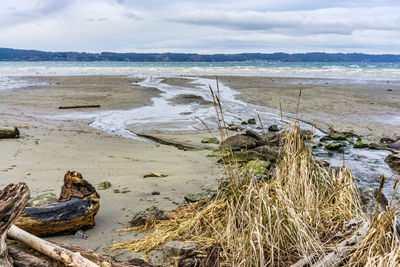 A stream flows into the puget sound at dash point state park in washington state.