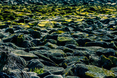 Shot of rocks near the river