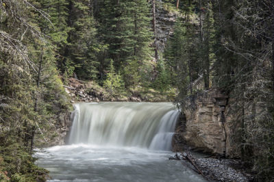Waterfall in forest