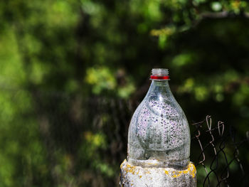 Close-up of glass bottle against blurred background
