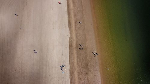 Broughty ferry beach from above