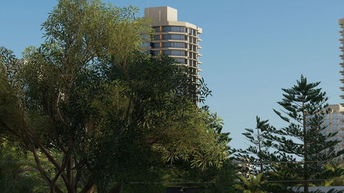 Low angle view of tree against building