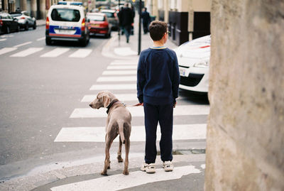 Rear view of man with dog walking on road