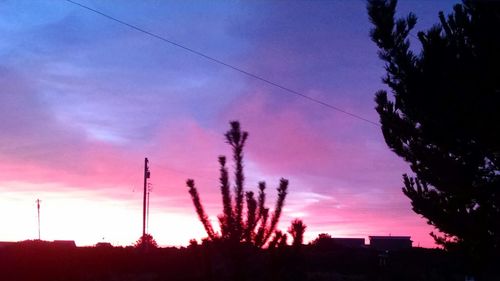 Silhouette of trees at sunset