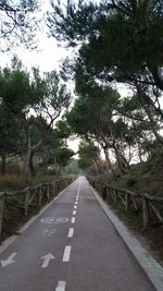 Empty road along trees