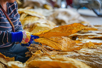 Person holding dry leaves during autumn