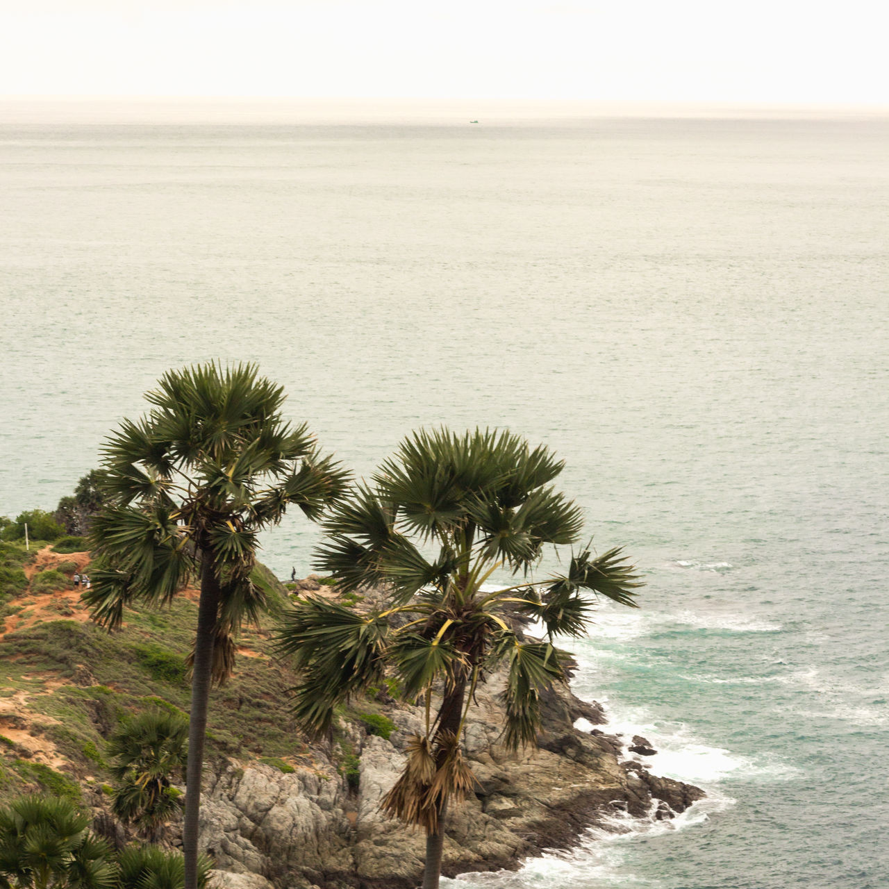 chonmawat ngamchaeng