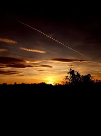 Silhouette plants against dramatic sky during sunset