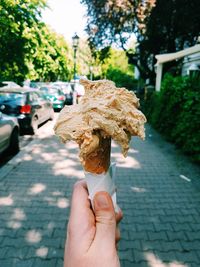 Close-up of woman holding ice cream cone on tree